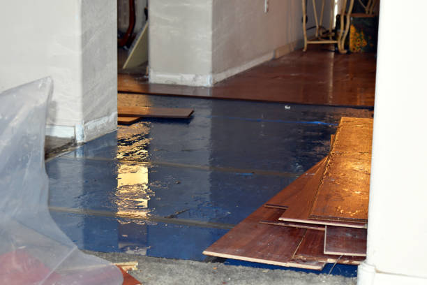 Professional Sewage Cleanup technician working in Montgomery, TX